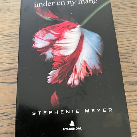 Under en ny måne - Stephenie Meyer