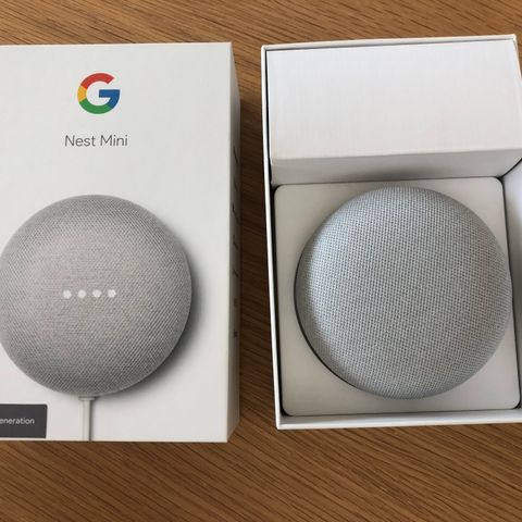 Google Nest Mini