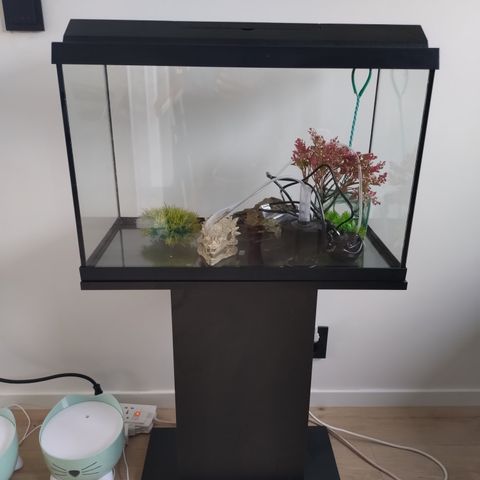 Juwel akvarium 70 ltr fisk og utstyr