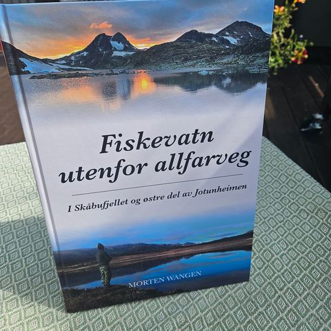 Fiskevatn utenfor allfarveg - fiskebok