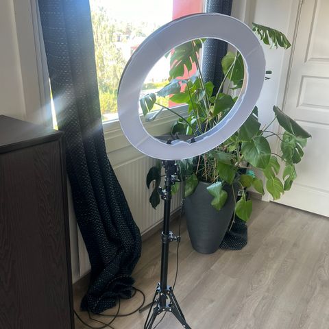 Ringlight med sterk lys