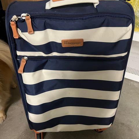 Carry-on IT luggage