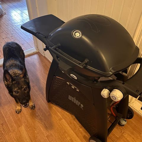 Weber Q3200 Grill - nypris 6999 - Grünerløkka