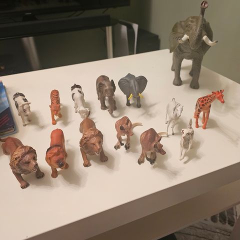 Leke dyr av Løve, kenguru, sjiraff, elefant, tiger, ku, hund og hest.