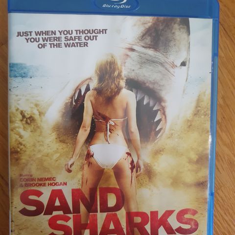 SAND SHARKS