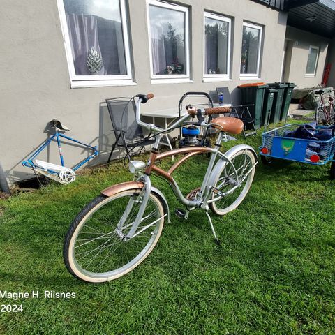 marin beach cruiser