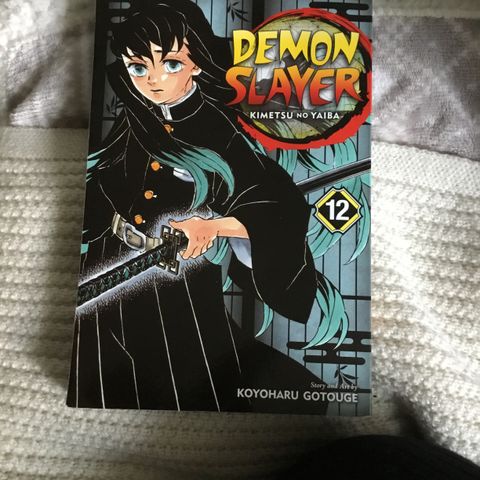 Kimetsu no yaiba. Demon slayer manga.