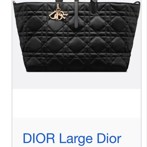 Dior toujours bag