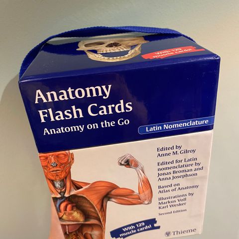 Anatomi flash cards