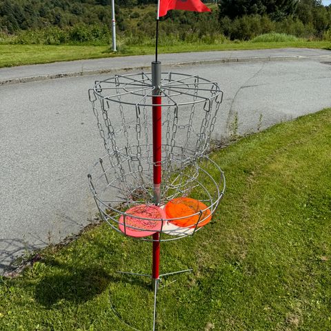 Guru Disc Golf kurv