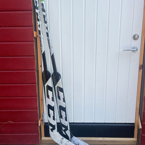 CCM EFlex spaker 25"