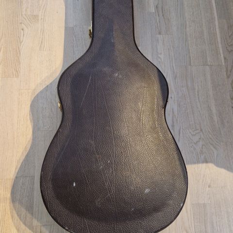 Takamine gitarkasse