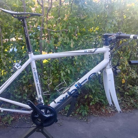 White PP Pro Ultegra