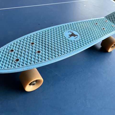 Penny board skateboard