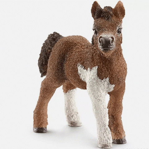 Schleich shettlands ponny føll