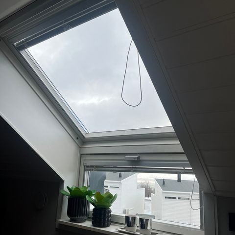 Velux vindu x10