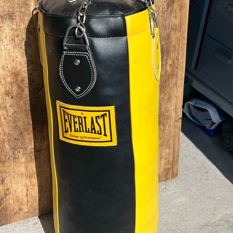 Everlast boksesekk