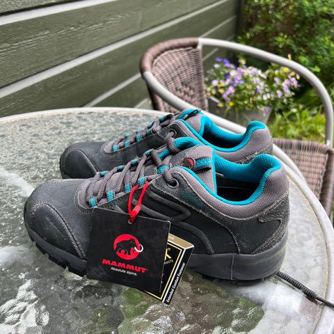 Goretex x mammut sko (str. 37)