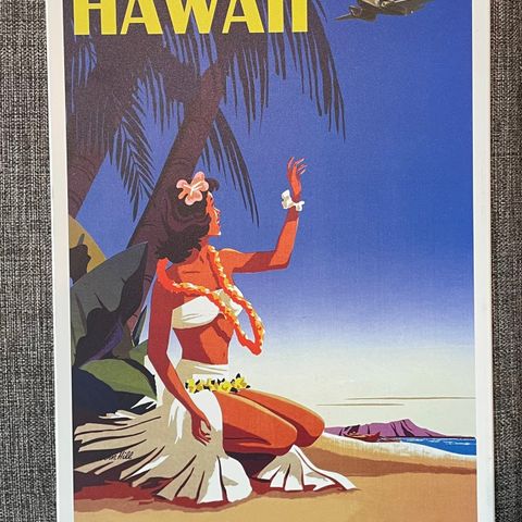 Hawaii Stainless Steel Plakat - Displate