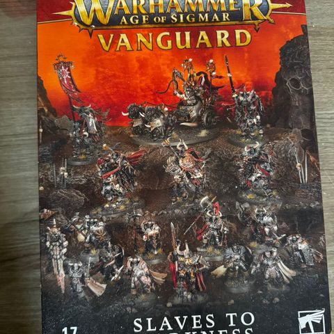 Warhammer Age of Sigmar Slaves To Darkness Vanguard