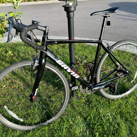 Gavia Trieste Tiagra, 55 cm