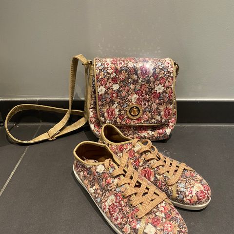 Shoes and Purse