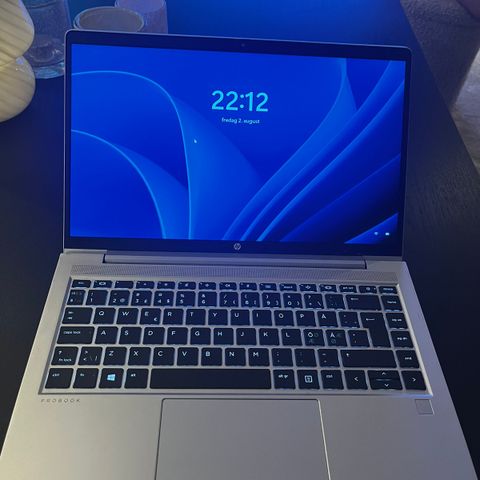 HP ProBook 445 GB