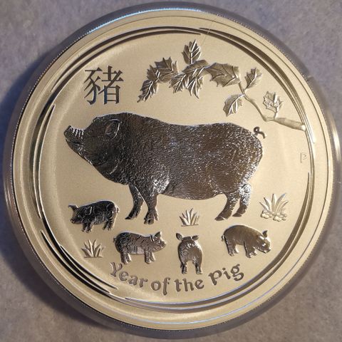 2019, Lunar Year of The Pig, 1 kg, 9999 Sølv.