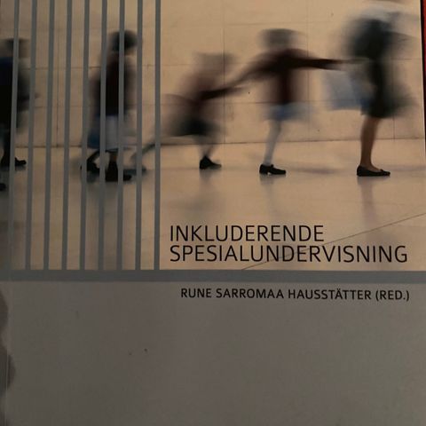 Inkluderende spesialundervisning, Rune Hausstätter