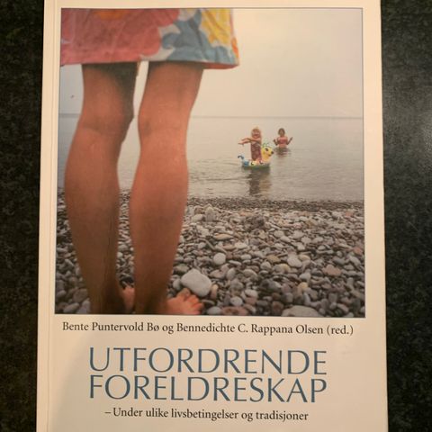 Utfordrende foreldreskap (fagbok)