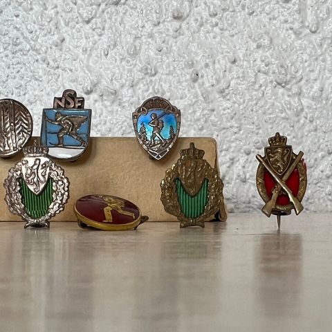 Militær pins