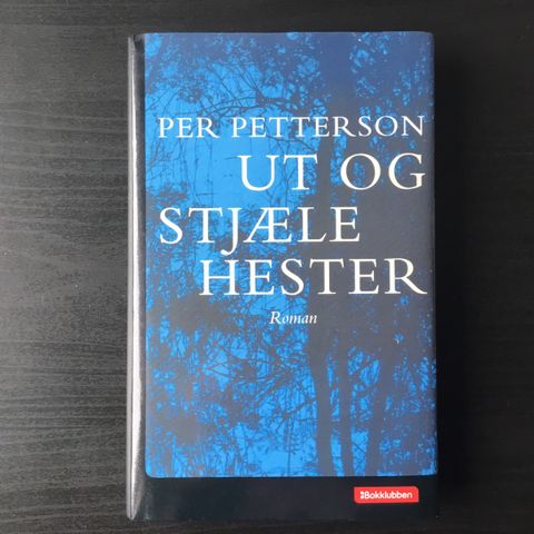 Ut og stjæle hester. Roman