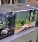 66 liter akvarium med utstyr