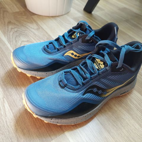 Saucony Peregrine 12 str. 38