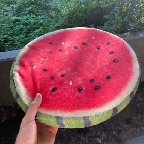 Vannmelonpute