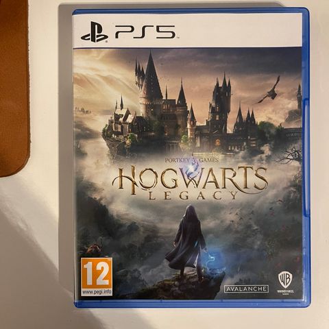 Hogwarts Legacy PS 5