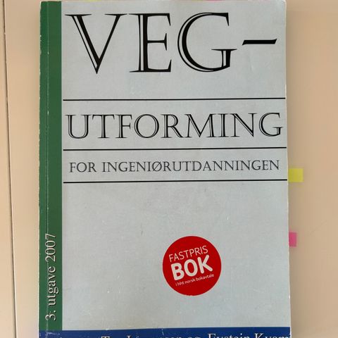 Vegutforming for ingeniørutdanningen