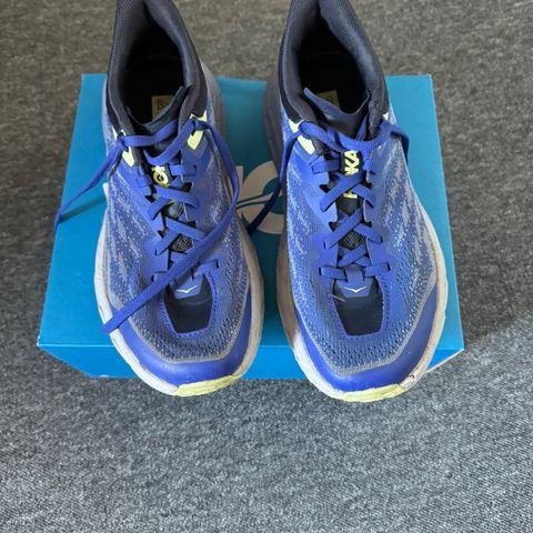 Hoka speedgoat 5