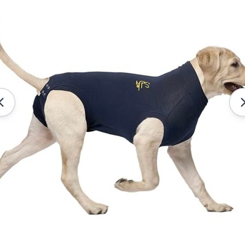 Medical pet shirt og flytevest til hund