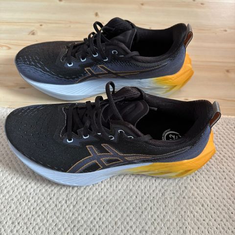 Asics Novablast 4 (42)