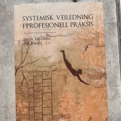 Systemisk veiledning i profesjonell praksis