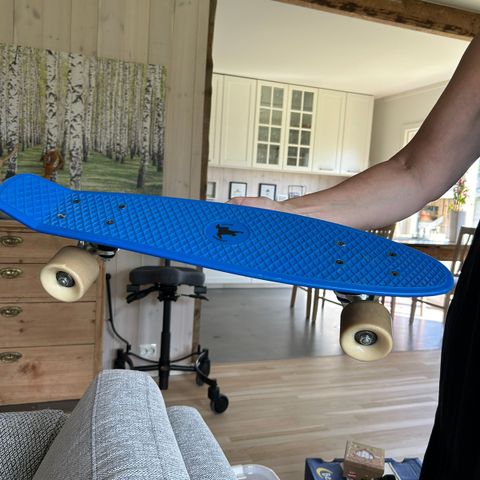 Pennyboard