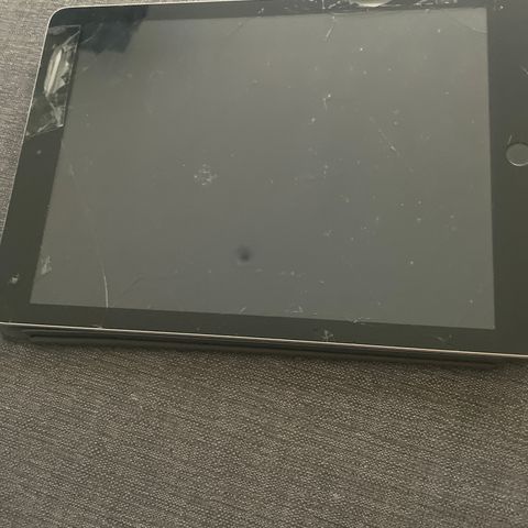 Noe defekt iPad femte generasjon