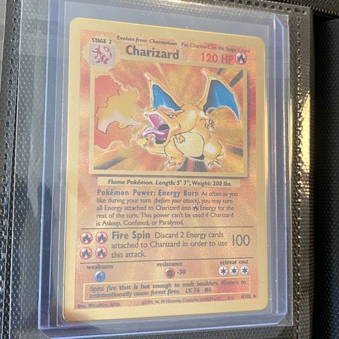 Metal charizard og pikachu