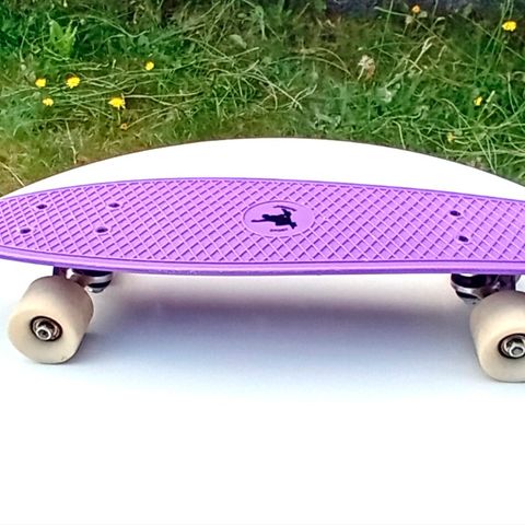 Skateboard