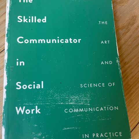 The skilled communicator in sosial work