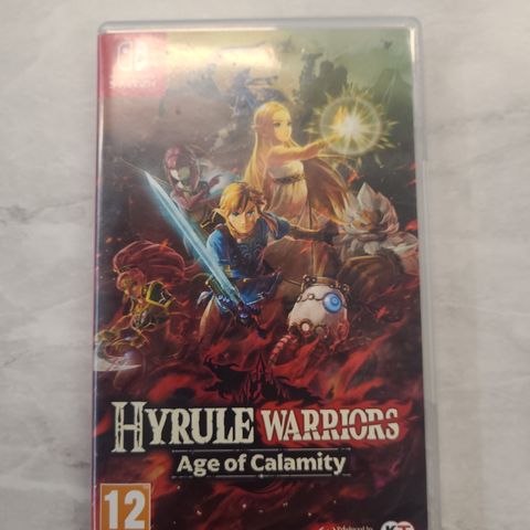 Hyrule warriors age of calamity switch