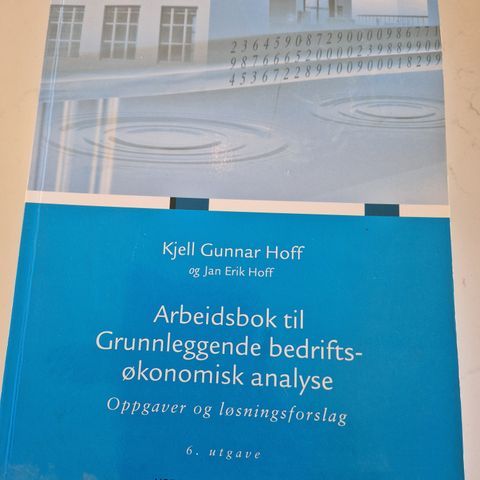 Arbeidsbok til Grunnleggende bedriftsøkonomisk analyse