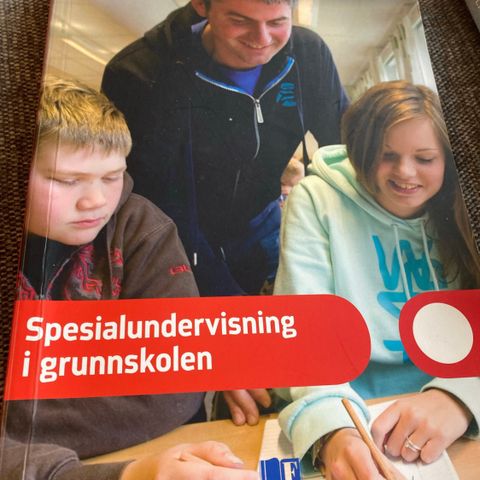 Spesialundervisning i grunnskolen