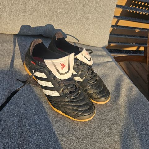 adidas copa indoor